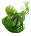 cfmc_16.png