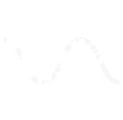 mcasci19.png