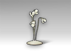 静物撮影用教材