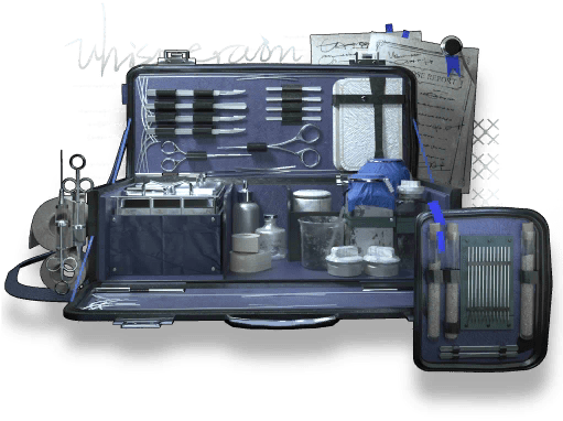 whisperain_mod-x.png